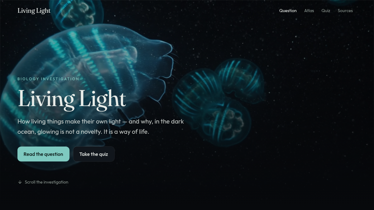 Living Light